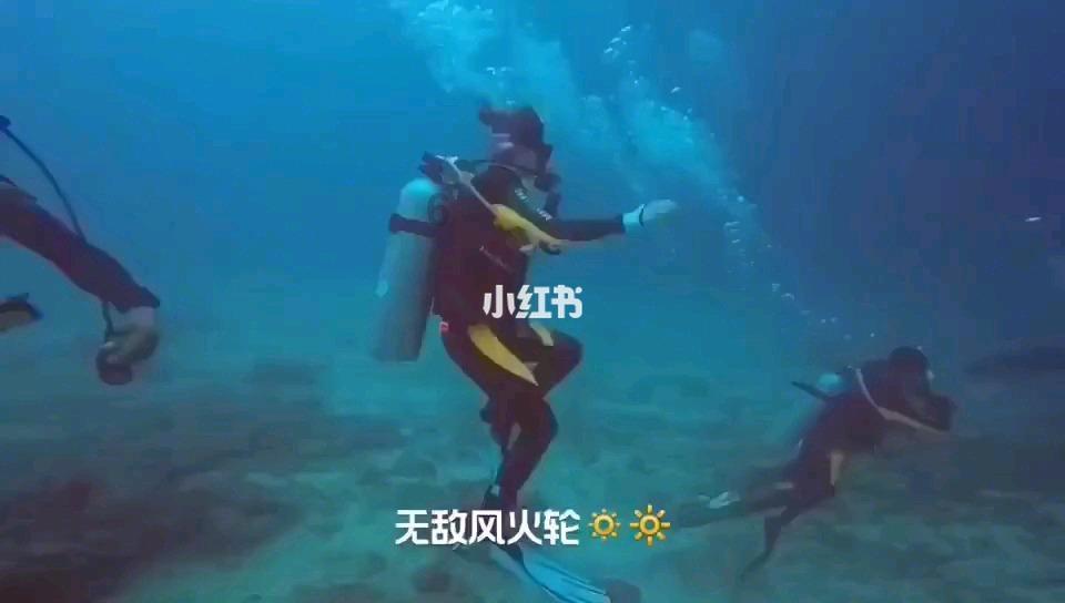 《幻兽帕鲁》冰刺鼠配种公式一览